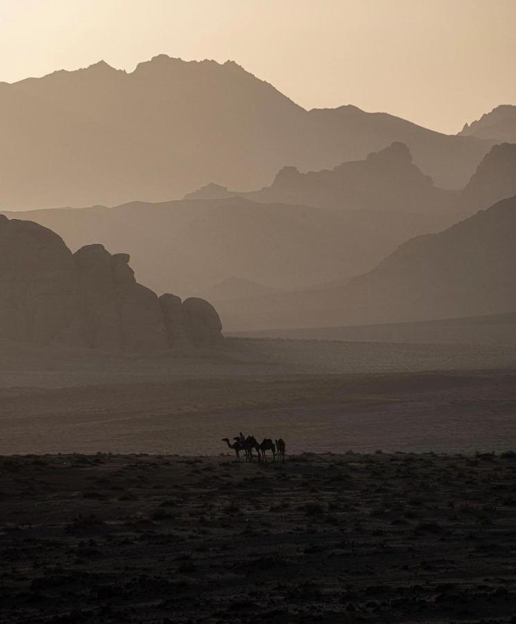 Wadirum Zeid Camp&Tours Wadi Rum Buitenkant foto