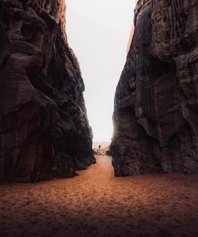 Wadirum Zeid Camp&Tours Wadi Rum Buitenkant foto