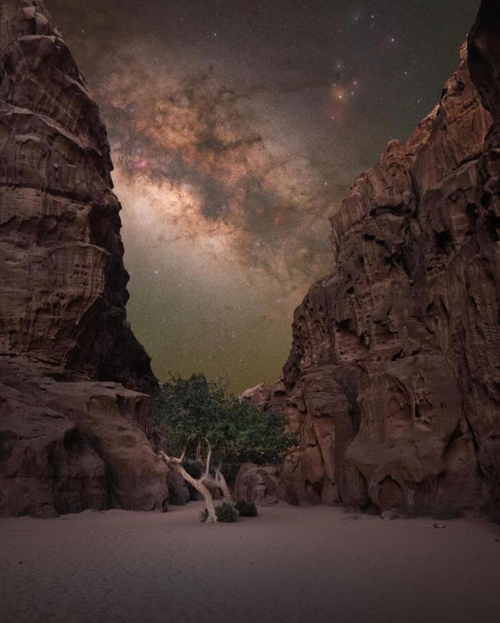 Wadirum Zeid Camp&Tours Wadi Rum Buitenkant foto