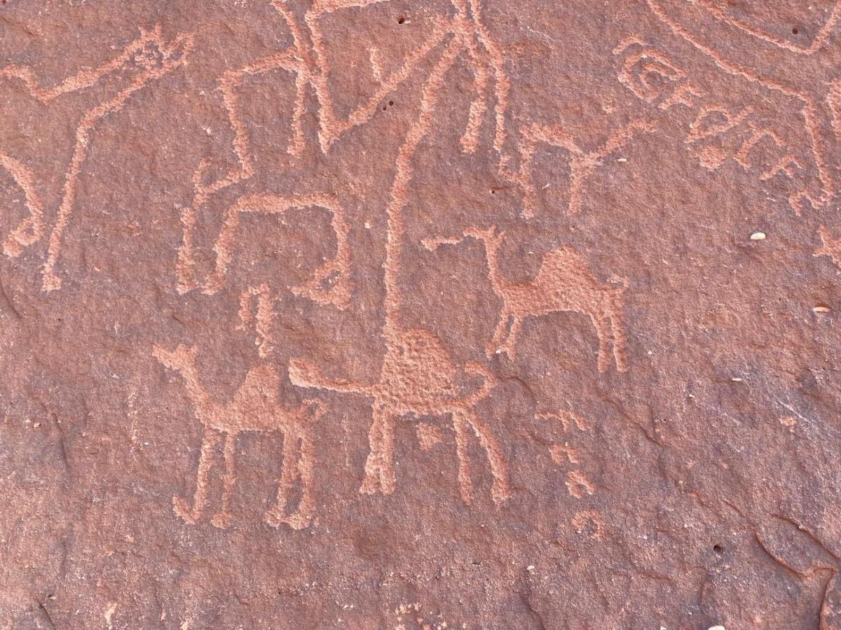 Wadirum Zeid Camp&Tours Wadi Rum Buitenkant foto