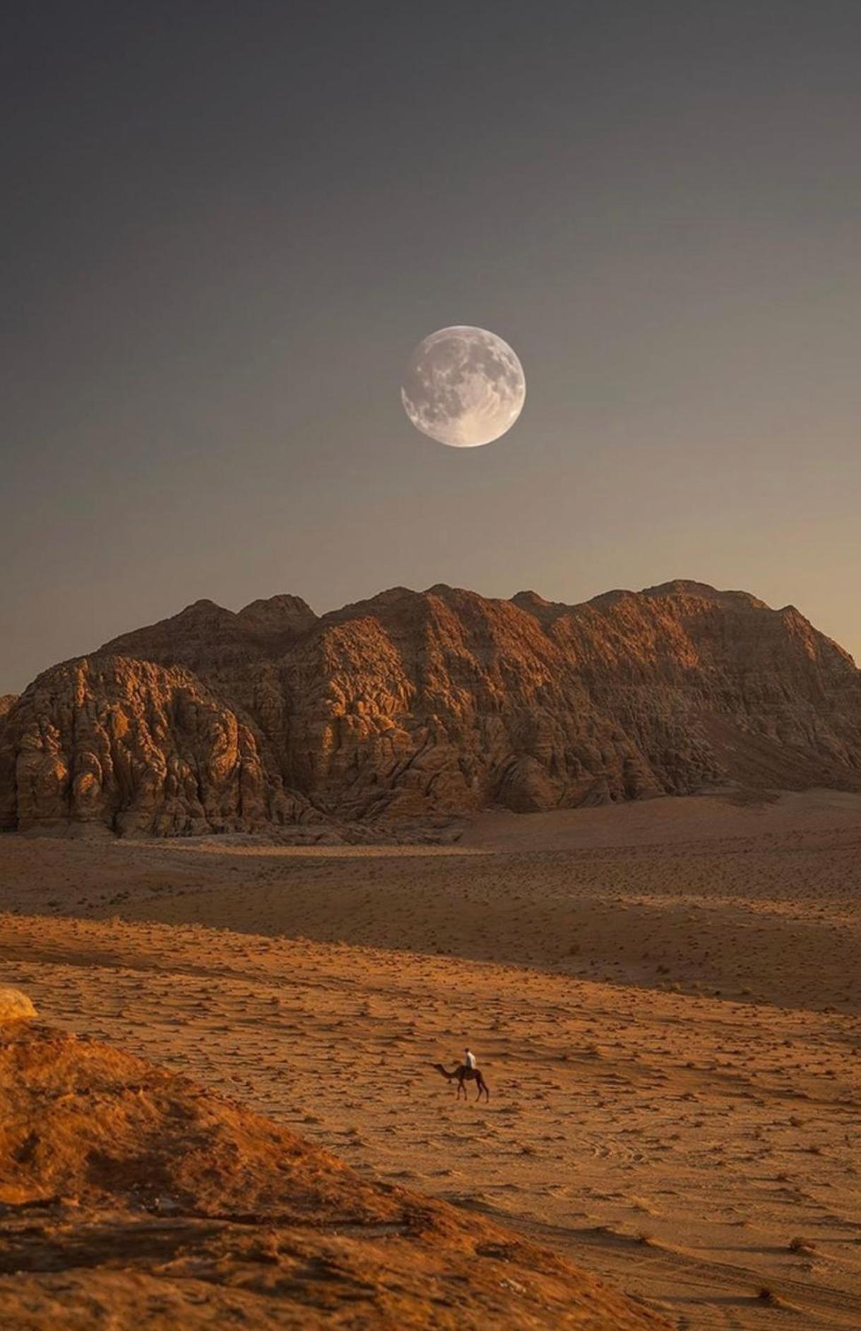 Wadirum Zeid Camp&Tours Wadi Rum Buitenkant foto