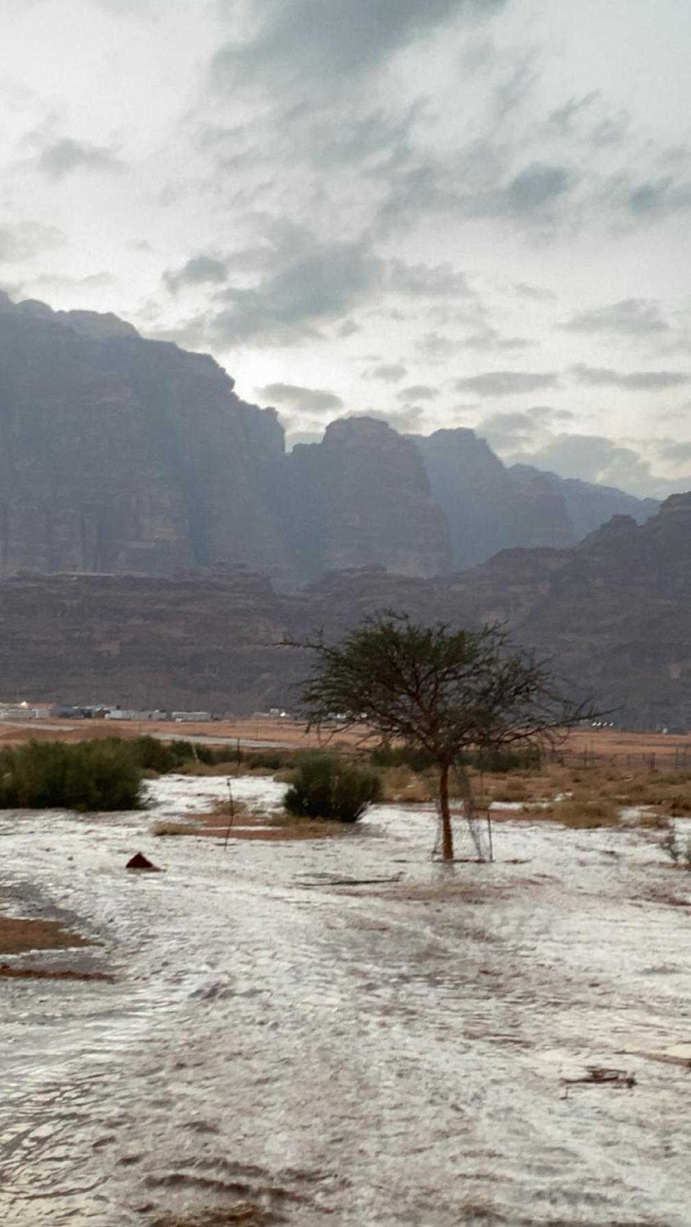 Wadirum Zeid Camp&Tours Wadi Rum Buitenkant foto