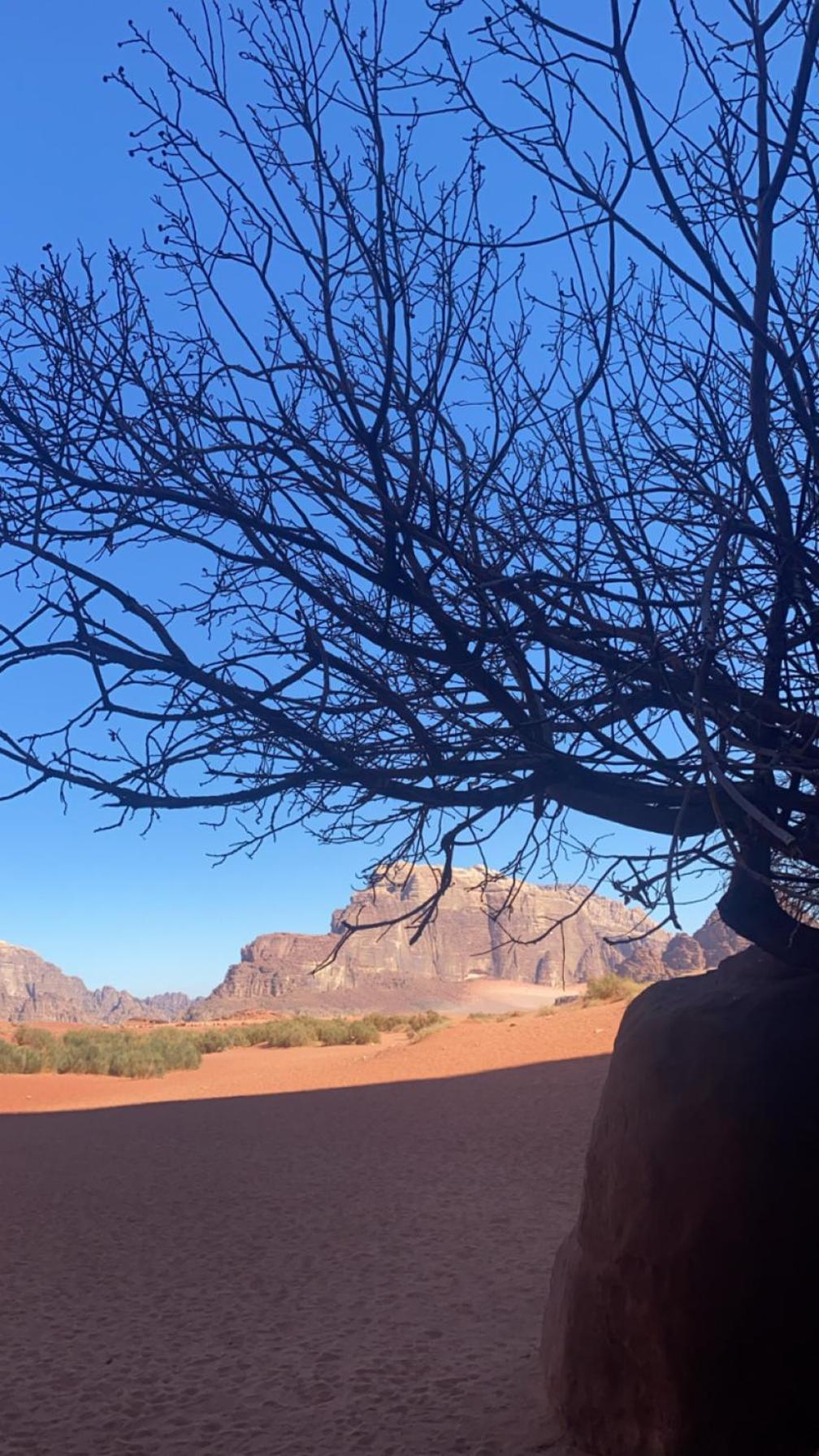 Wadirum Zeid Camp&Tours Wadi Rum Buitenkant foto